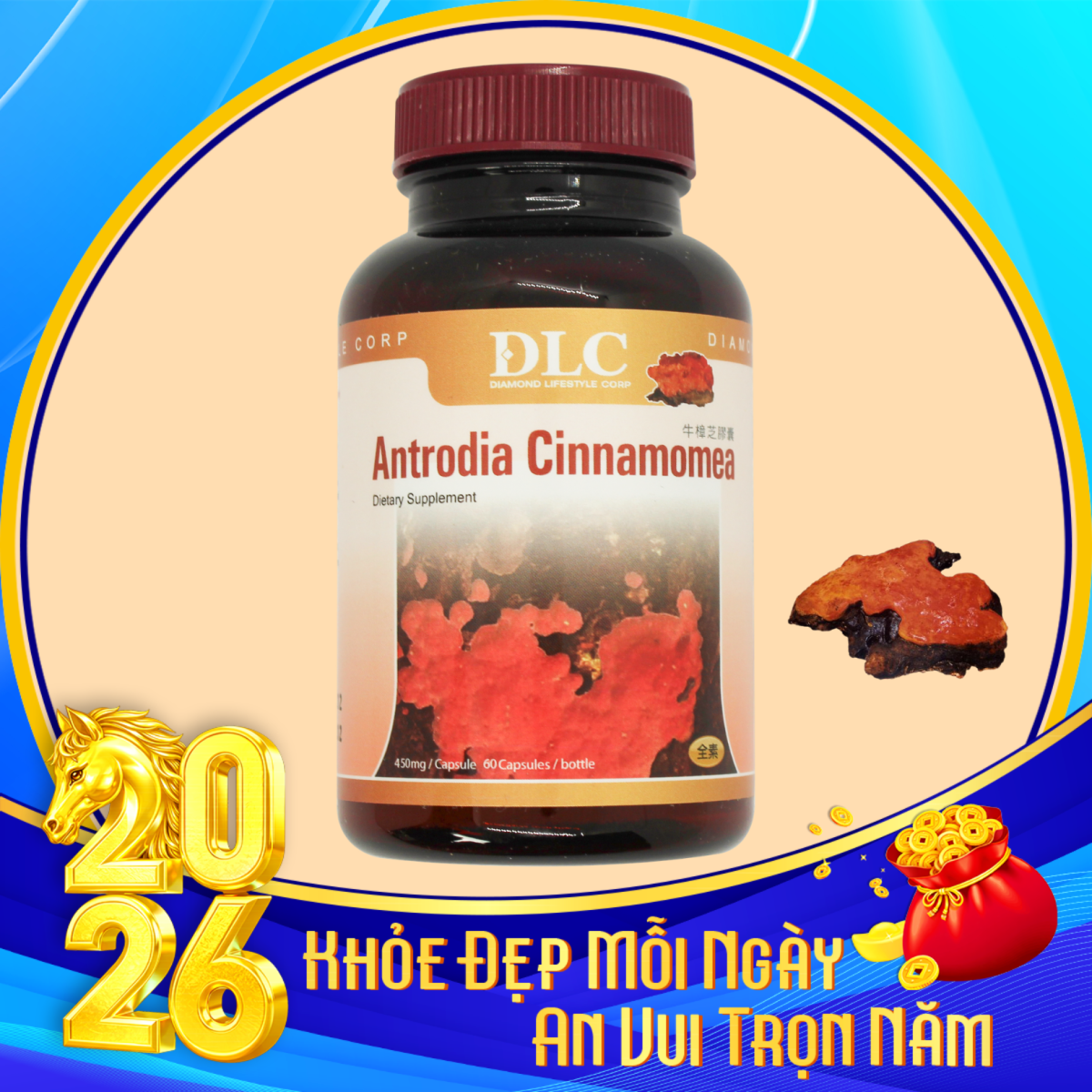 Thực phẩm bảo vệ sức khỏe Antrodia Cinnamomea